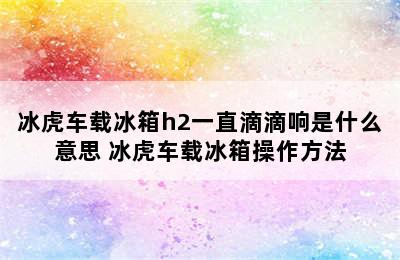 冰虎车载冰箱h2一直滴滴响是什么意思 冰虎车载冰箱操作方法